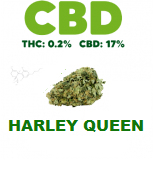 comprar flores cbd harley queen