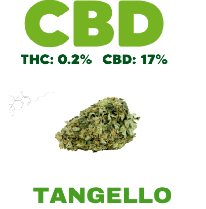 comprar flores cbd tangello